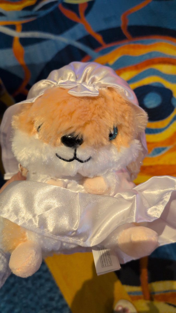 bri 🖤 tweet media