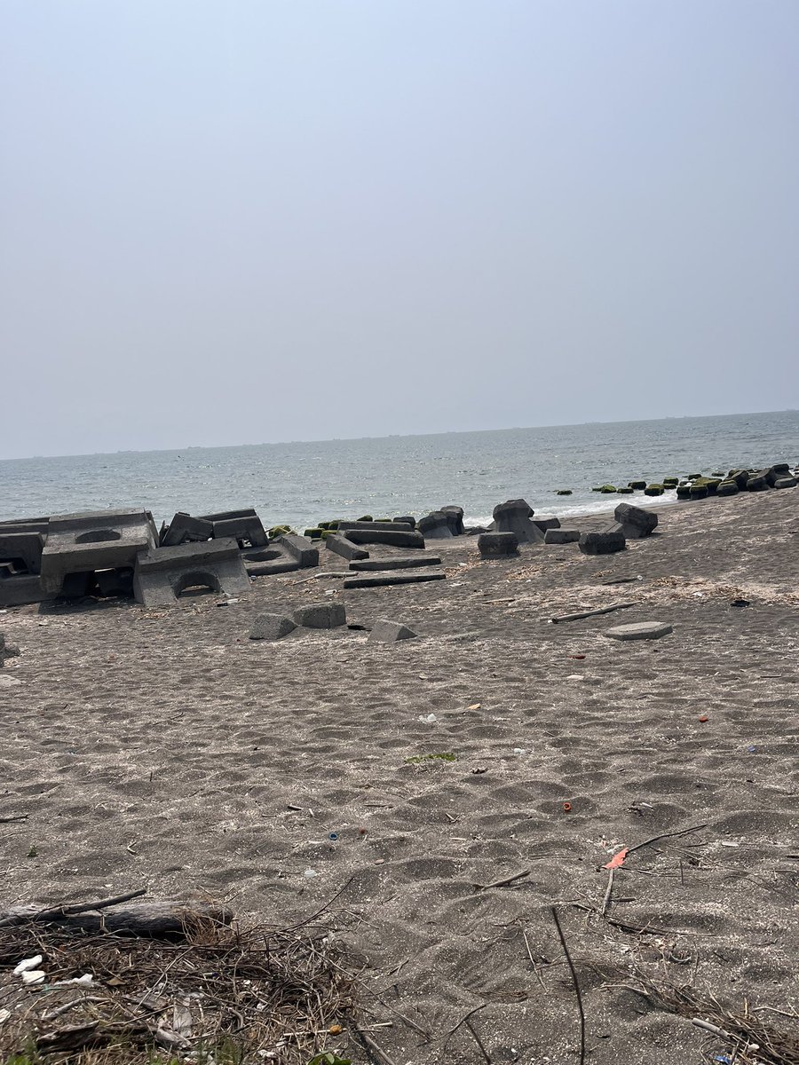 ig zehel_frua tweet media