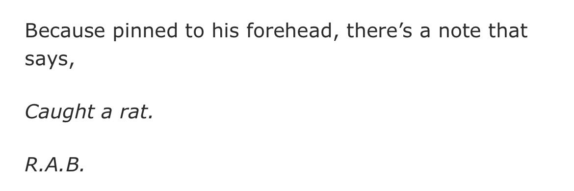 reggie ⭒ cr otb tweet media