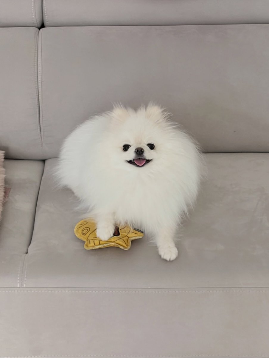 미카짱 tweet media