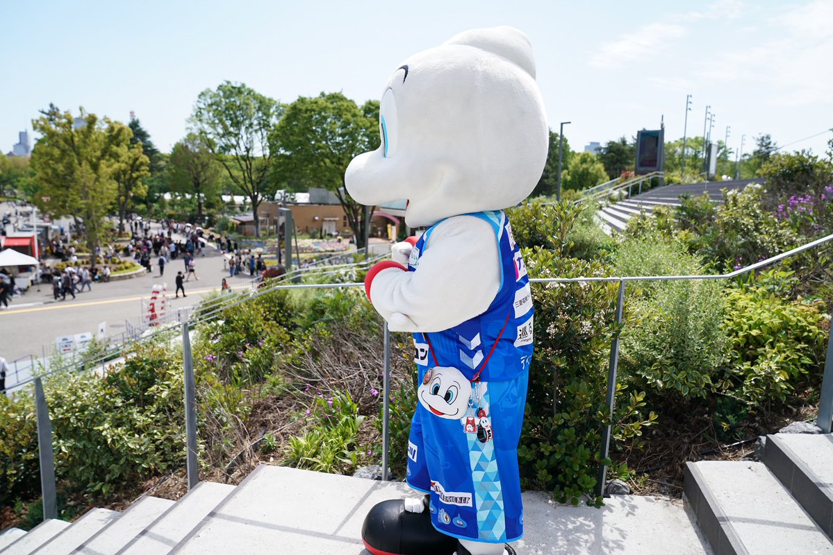 名古屋ダイヤモンドドルフィンズ 公式 tweet media