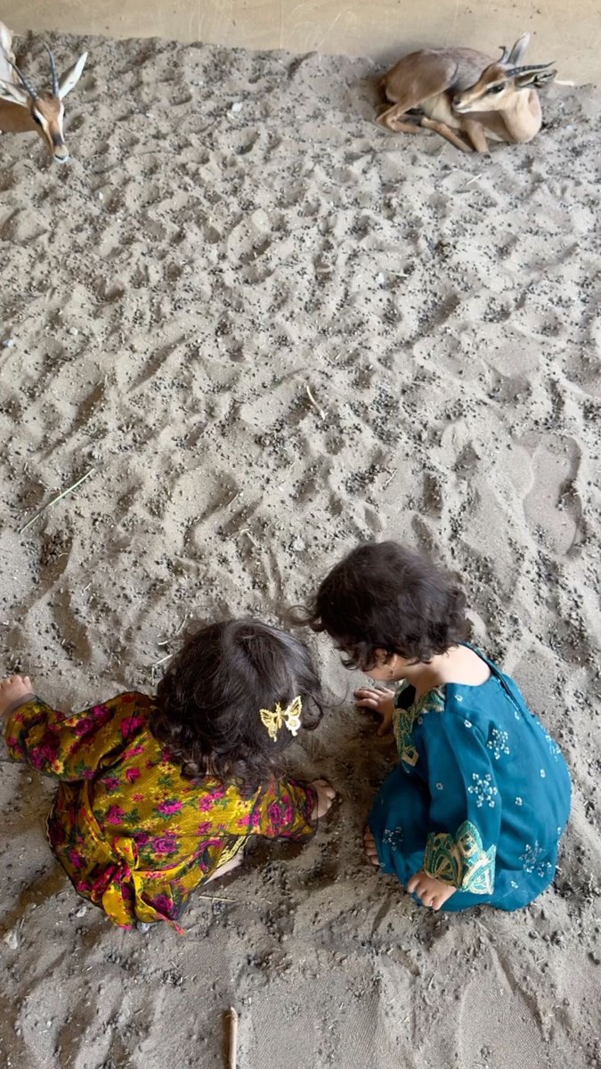 ˚♡˚ 🦌 ˚♡˚ tweet media