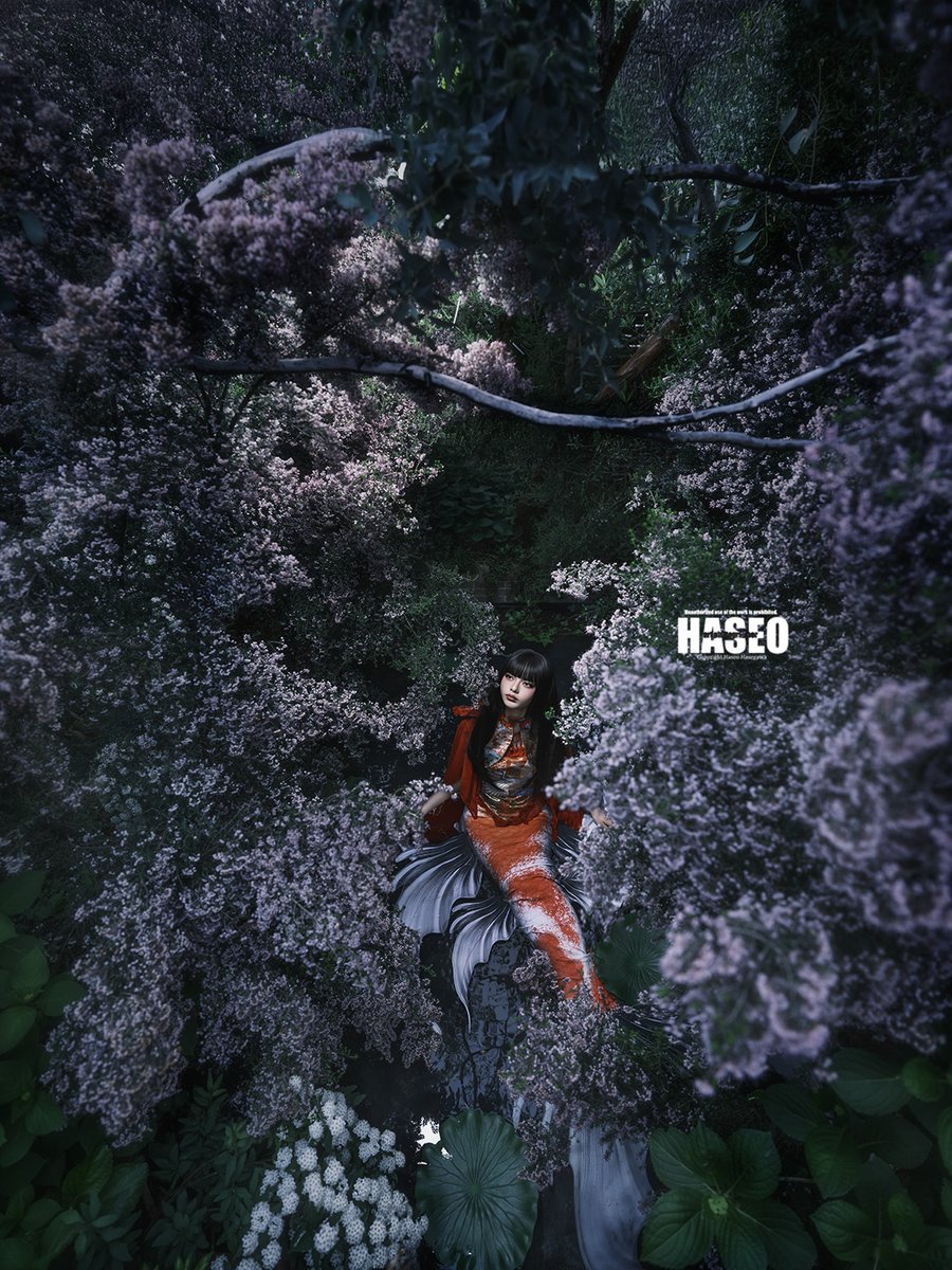 HASEO HASEGAWA tweet media