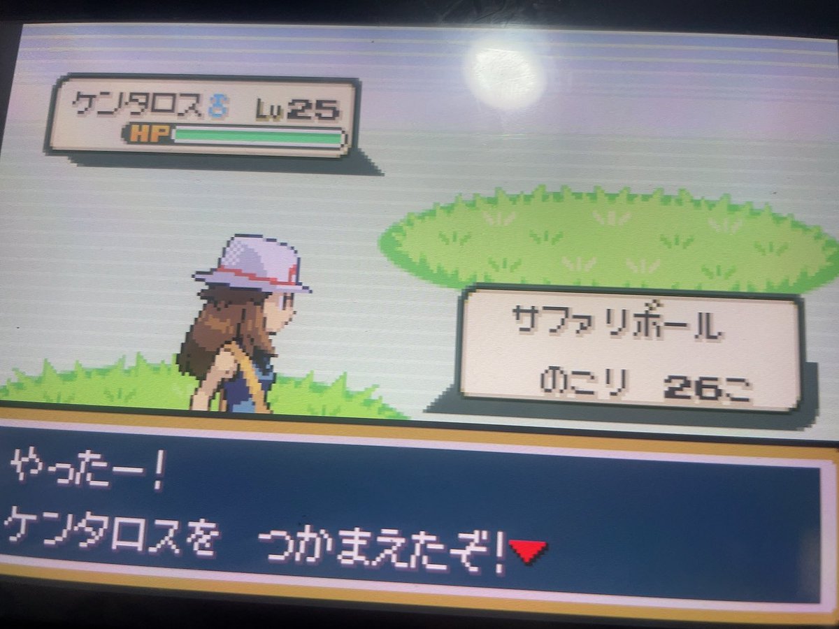 紫角ちはや🦋🩸😈 tweet media