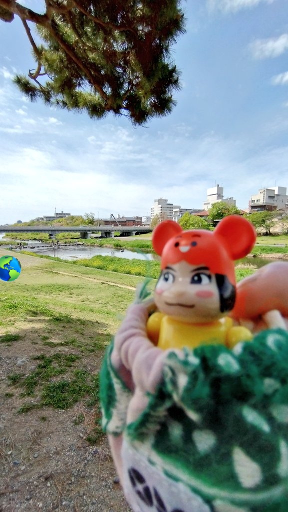 potechiemperor's tweet photo. お出かけワルイちゃん
鴨川デルタでのんびりするの巻
お天気もよく長閑なひとときでした
ワルイちゃんもご機嫌な様子
4枚目は柏餅等を広げて休憩していた鴨川公園(矢印)を眺めるワルイちゃん
#OUIOU
#のん #能年 https://t.co/mXz50R5abA