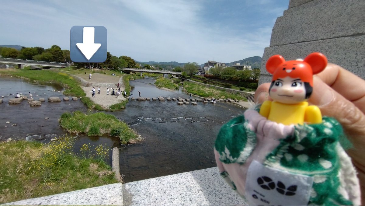 potechiemperor's tweet photo. お出かけワルイちゃん
鴨川デルタでのんびりするの巻
お天気もよく長閑なひとときでした
ワルイちゃんもご機嫌な様子
4枚目は柏餅等を広げて休憩していた鴨川公園(矢印)を眺めるワルイちゃん
#OUIOU
#のん #能年 https://t.co/mXz50R5abA