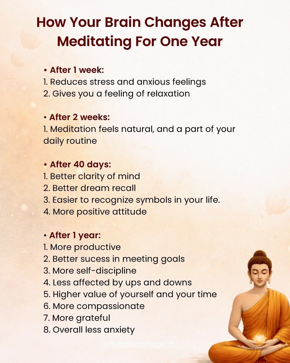 Seek Wiser (@seekwiser_) on Twitter photo 