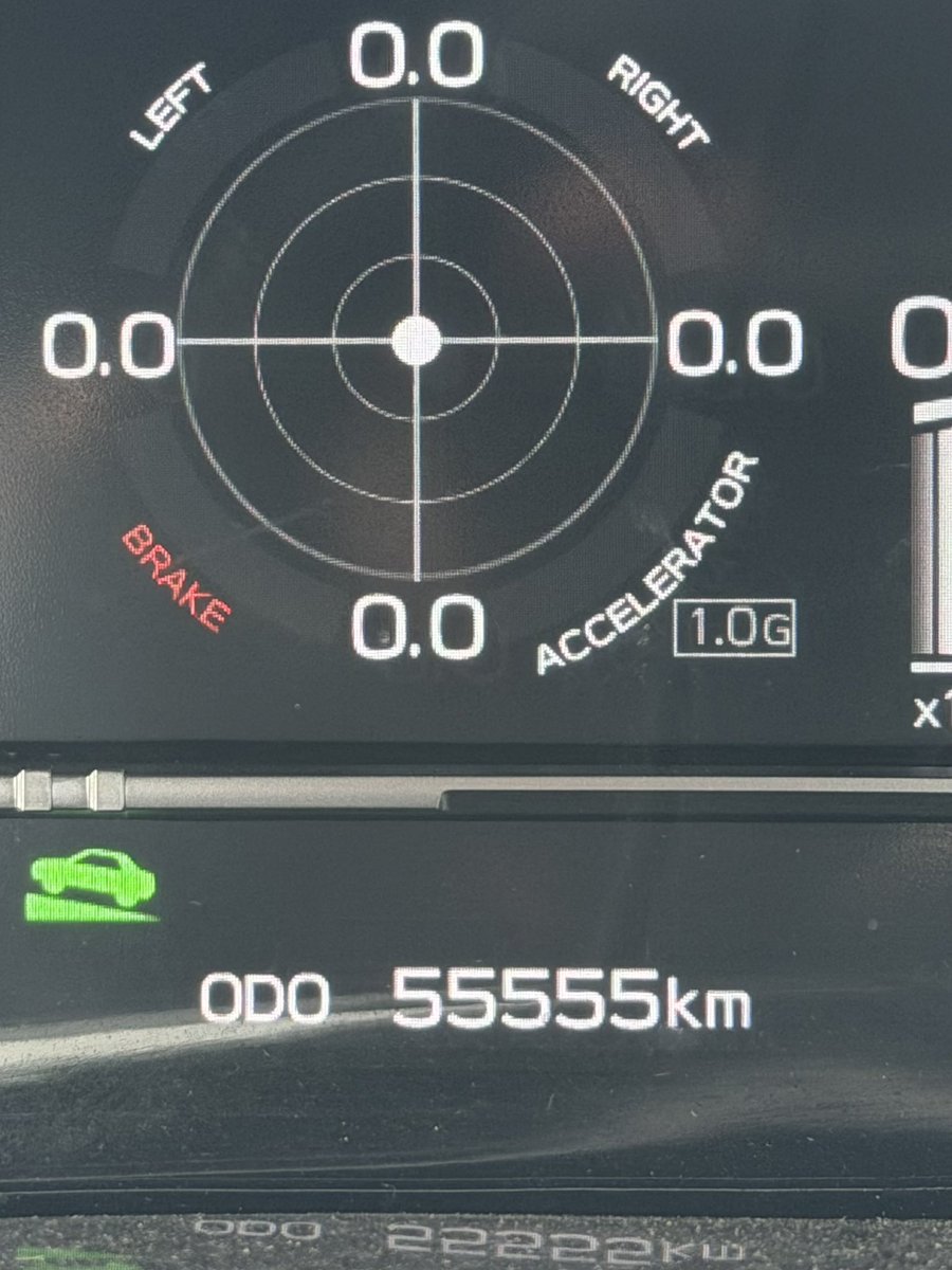ミンチ様　状態確認用 🚙💨5️⃣5️⃣5️⃣5️⃣5️⃣km
