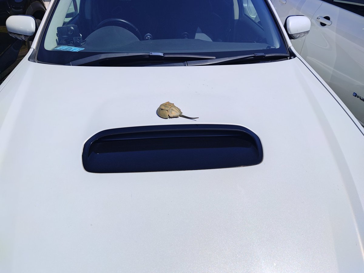 𝘽𝙄𝙂洗水族館