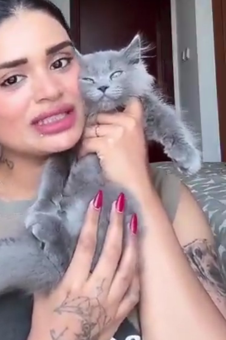 Parv 🚩 tweet media