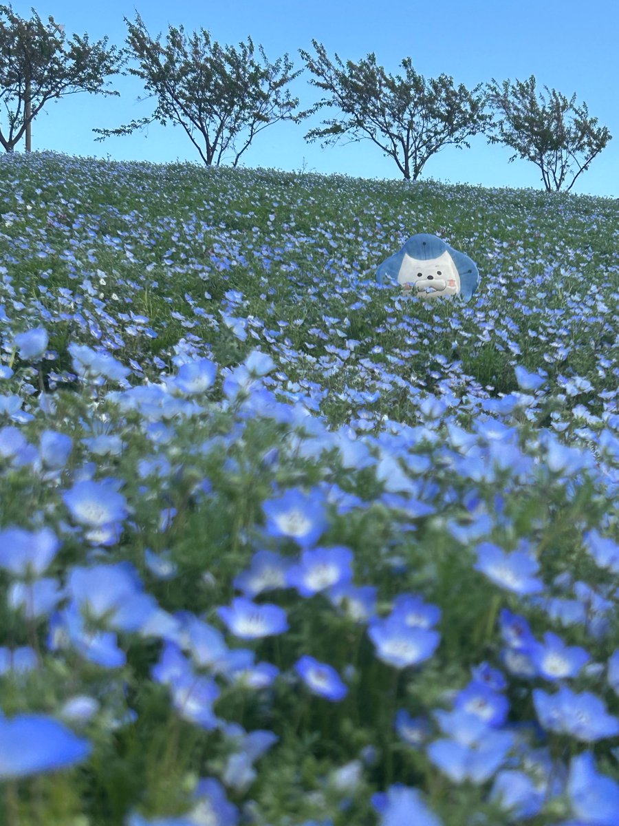 夜乃むやみ🦇✝️ tweet media