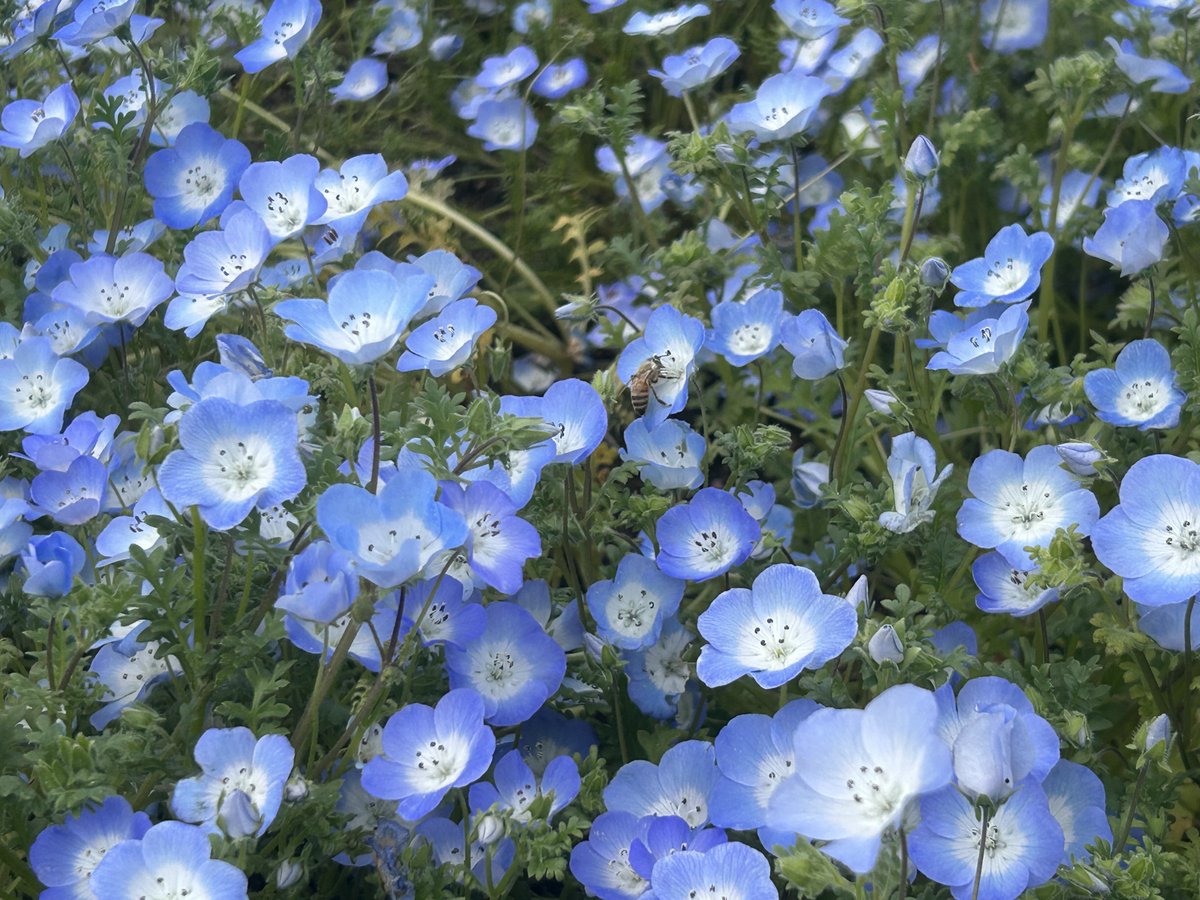 夜乃むやみ🦇✝️ tweet media