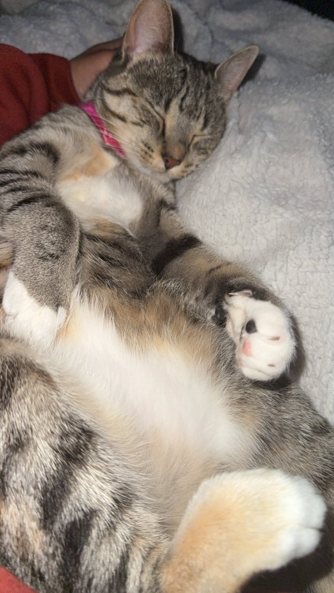 👁‍🗨👃🏽👁 tweet media