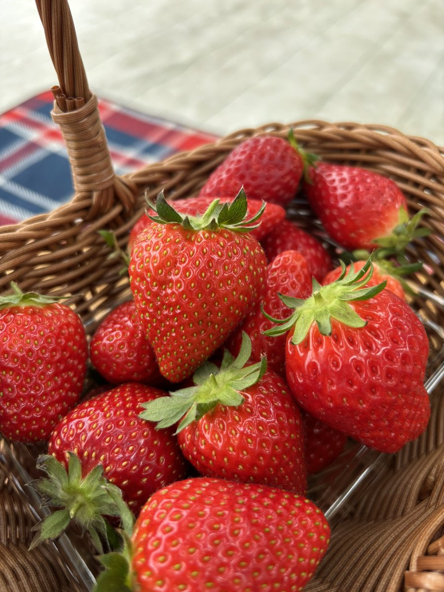 ガイア │ 脱サラを目指すエンジニア tweet media