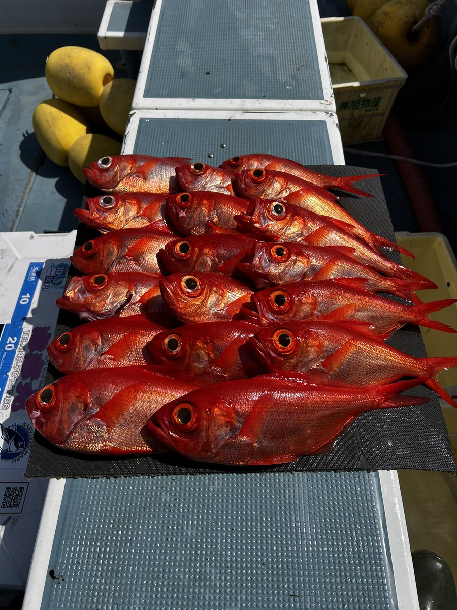 ゆうぼん tweet media