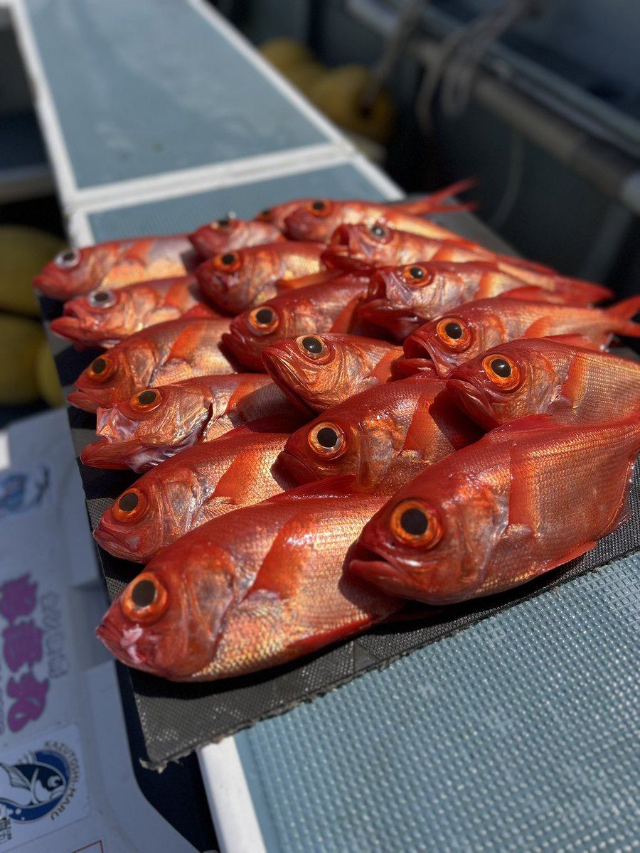 ゆうぼん tweet media