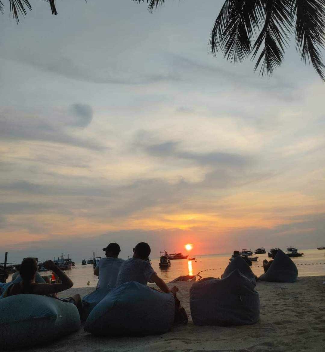 The Funky Turtle® tweet media