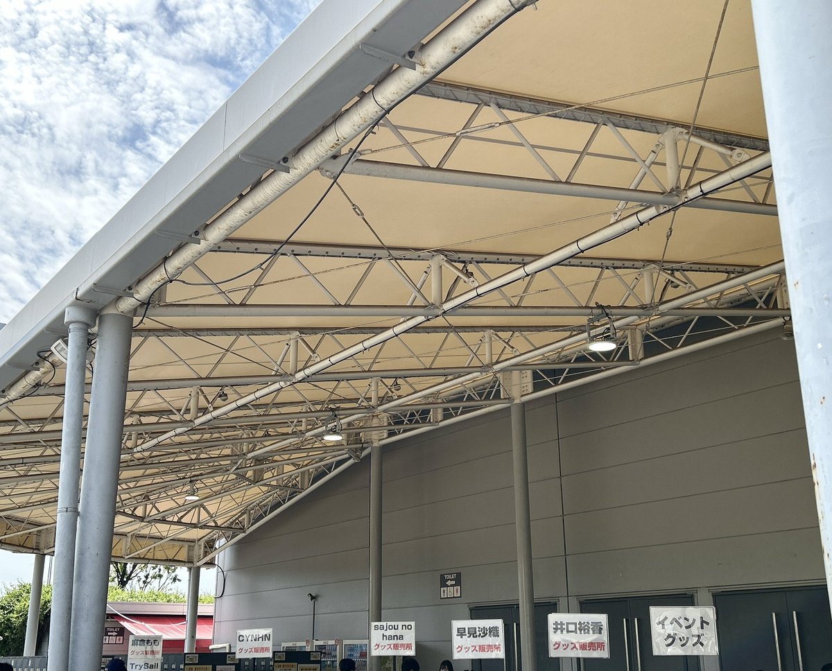 ニャゴやん（本物） tweet media