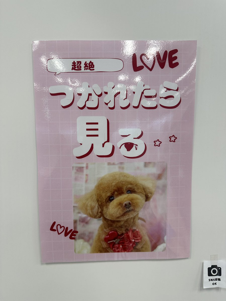 秋山乃佑（ダイスケ）_ゲームデザイン tweet media