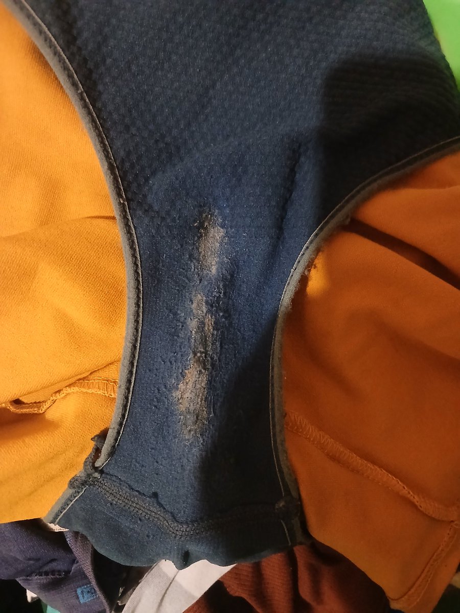 cataleyacampeche tweet media