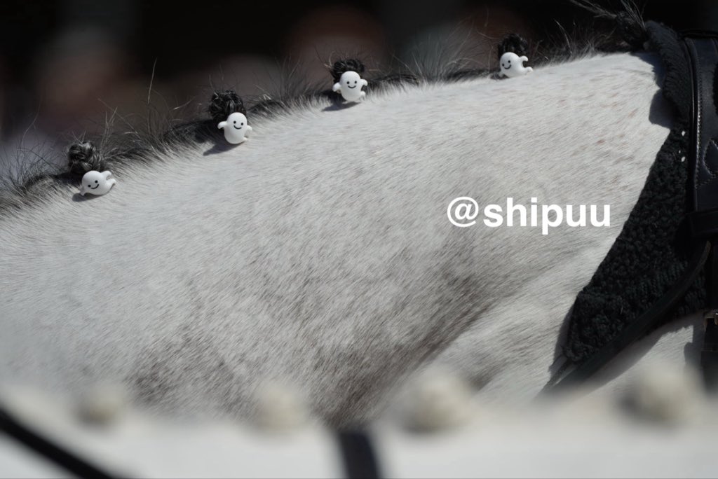 shipuu_'s tweet photo. ゴースト👻くんのたてがみー(੭ु ˃̶͈̀ ω ˂̶͈́)੭ु⁾⁾

ちっちゃいゴーストがいっぱい👻👻👻

#ゴースト
#誘導馬 https://t.co/mJejvq0fuI