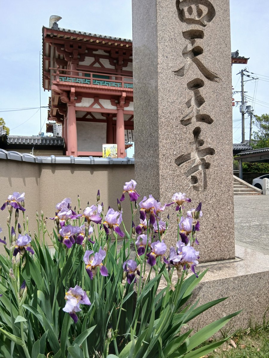 大喰い tweet media