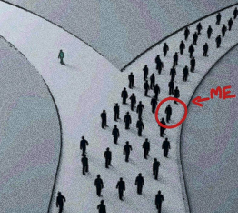 pumpkin!!!! tweet media