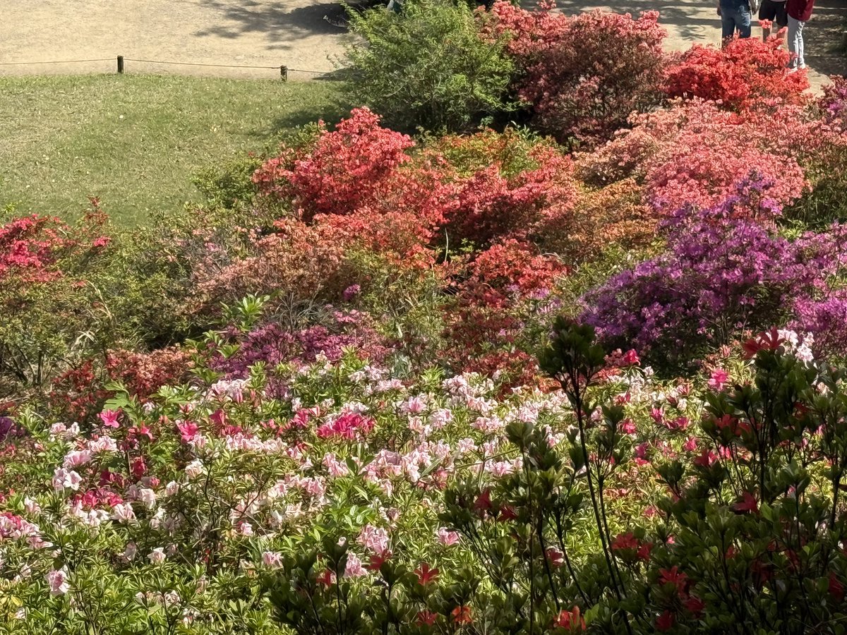 ふ〜が tweet media