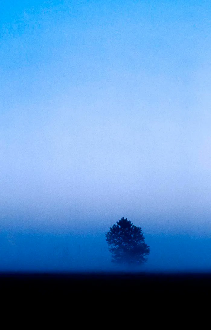 Ray Laskowitz tweet media