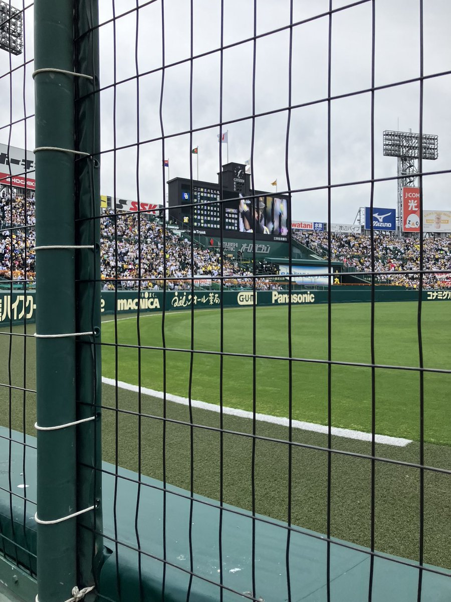 ナミヘー tweet media