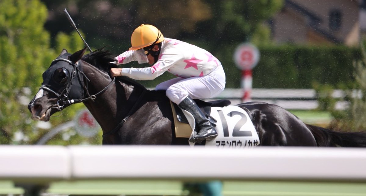 むらさん tweet media