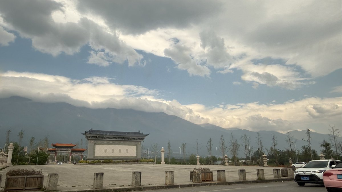 小橘子 tweet media