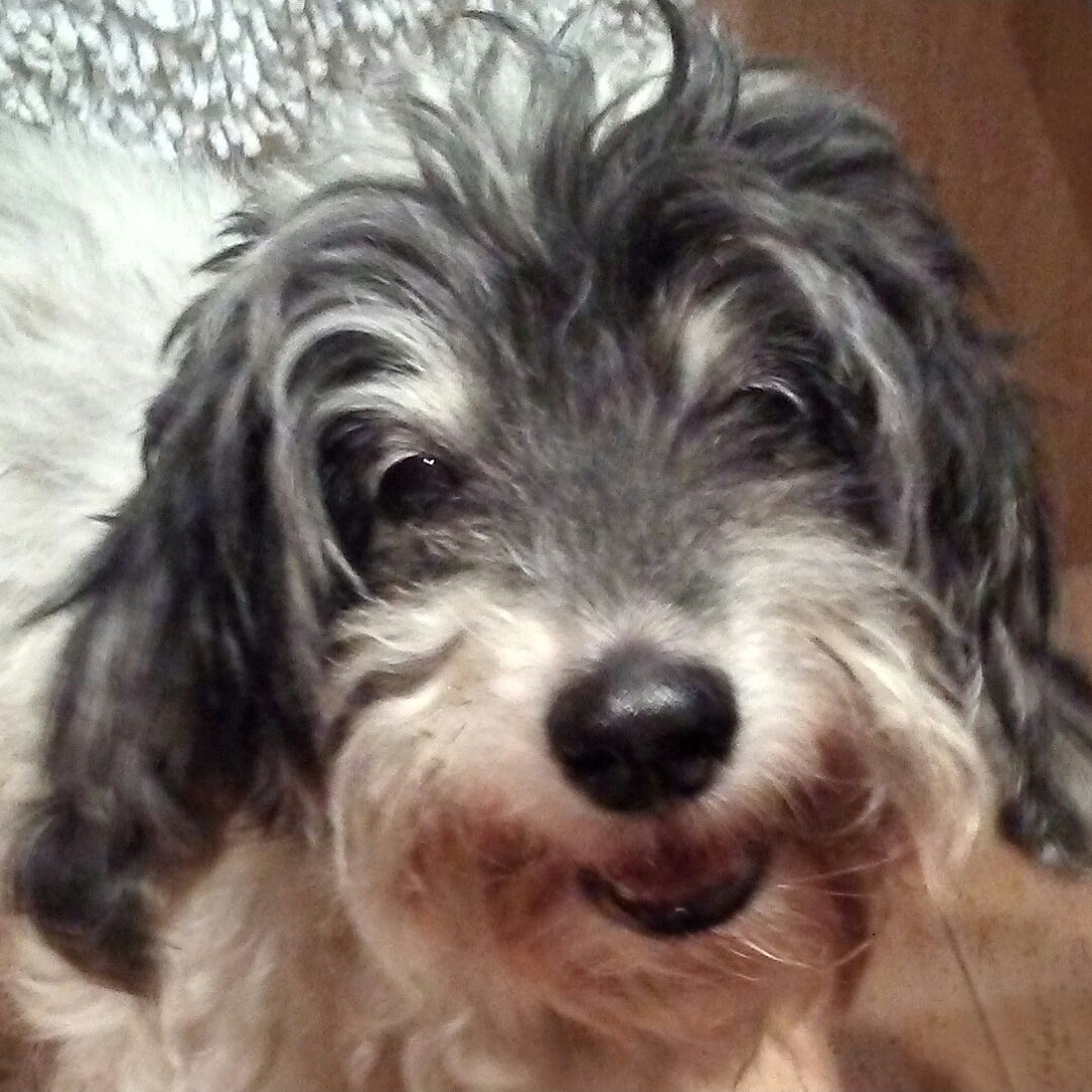 Iddeum ♋ tweet media