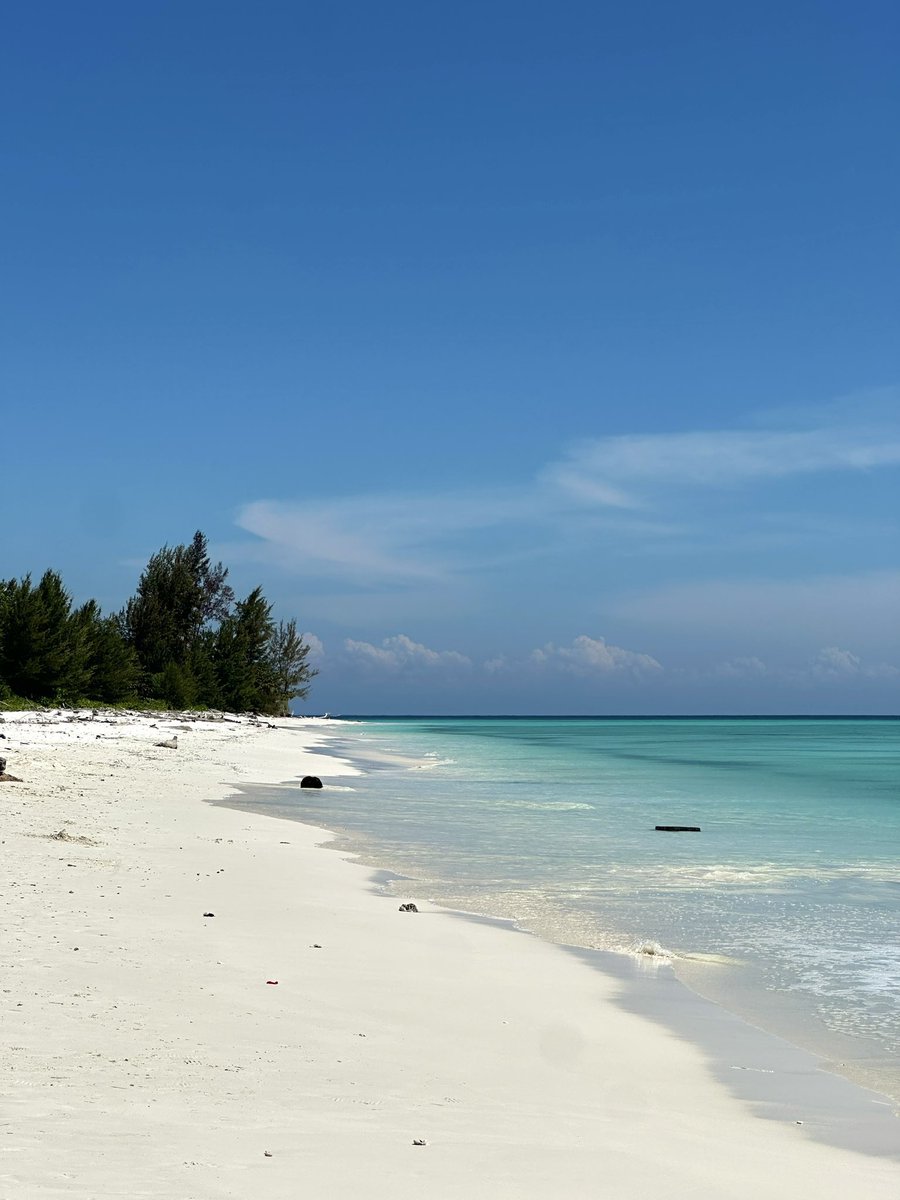 柔弱的继母 tweet media