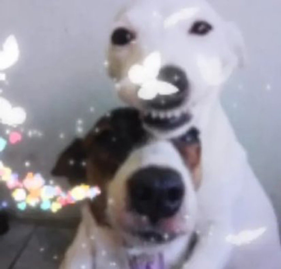 ser8tededgelord's tweet image. even if you feel less human you will always be my FRIEND #support #love