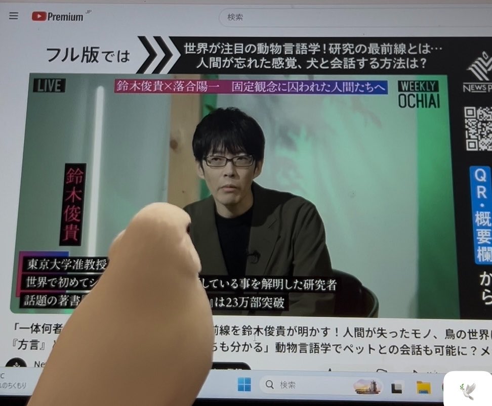 ぶんちょほりっく tweet media