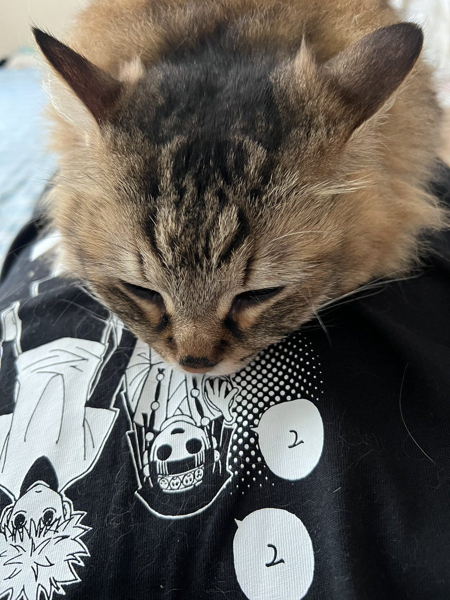 GEKO🐸 tweet media