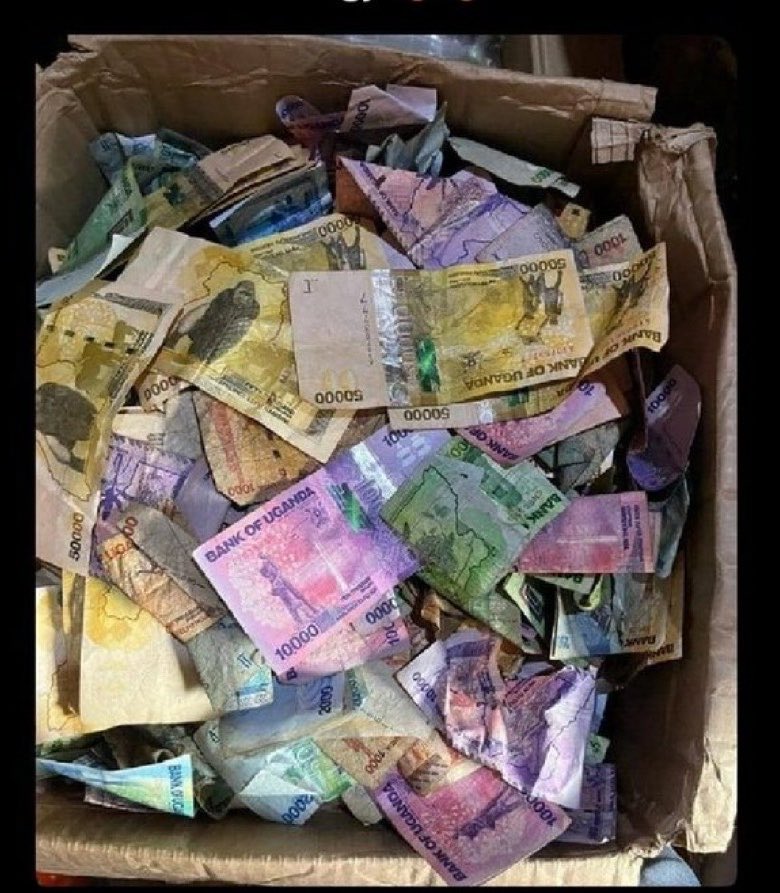 Anselm🇺🇬 tweet media