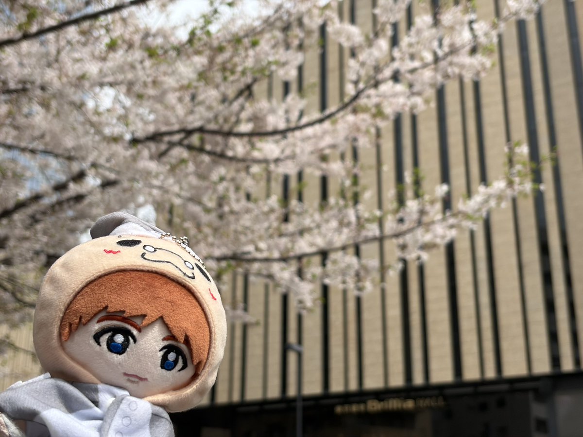 モナカ tweet media