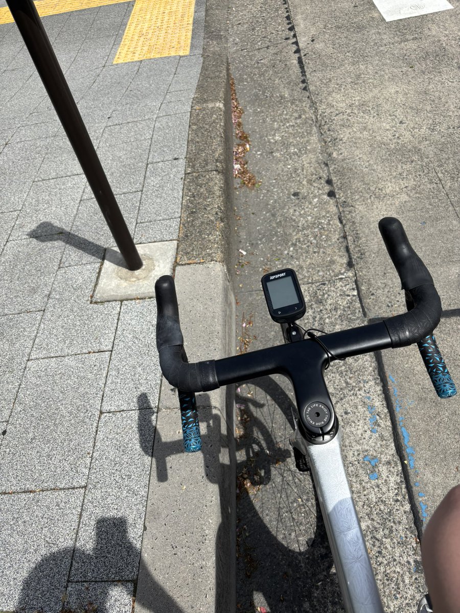 限界社会人ダンゴムシ@MOCO# tweet media