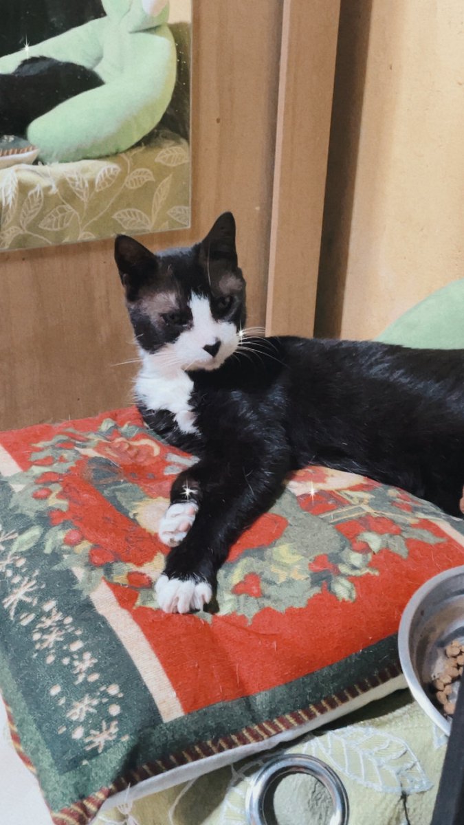 Biitachi_'s tweet image. Moodboard de #Saturday