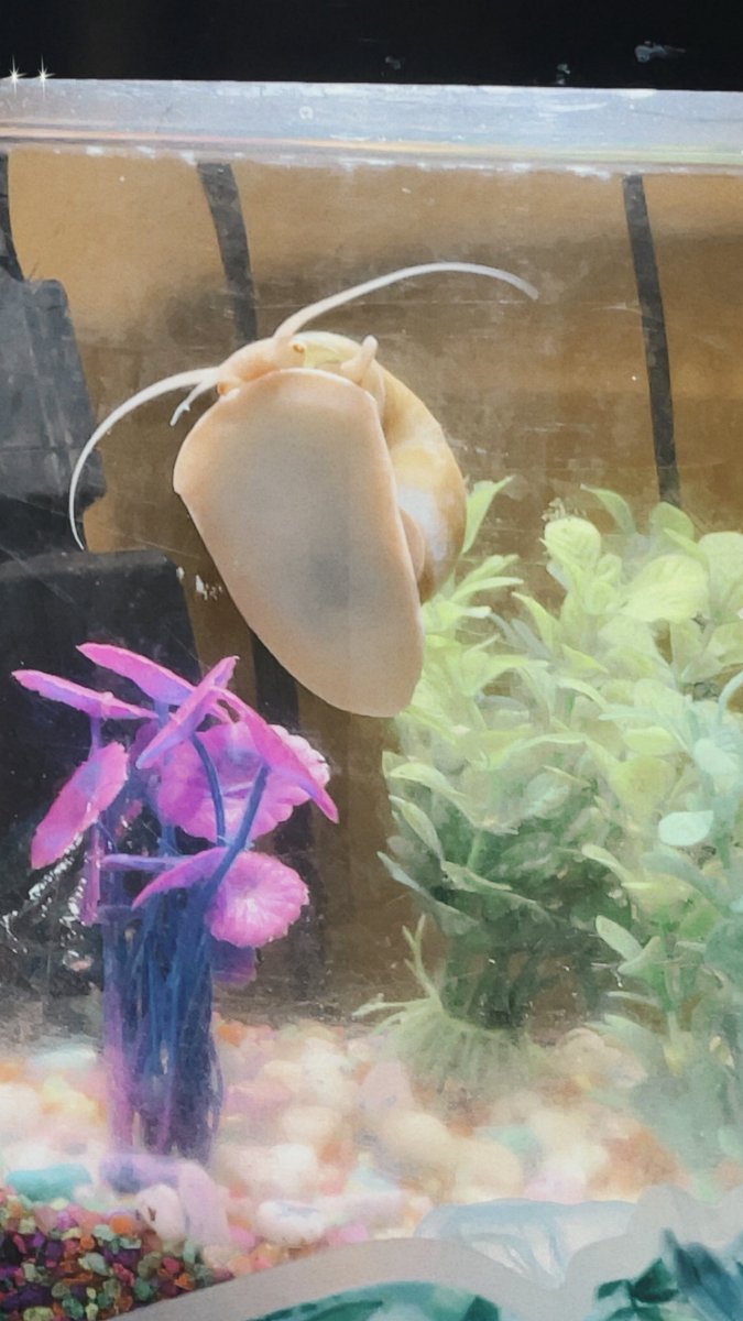 Biitachi_'s tweet image. Moodboard de #Saturday