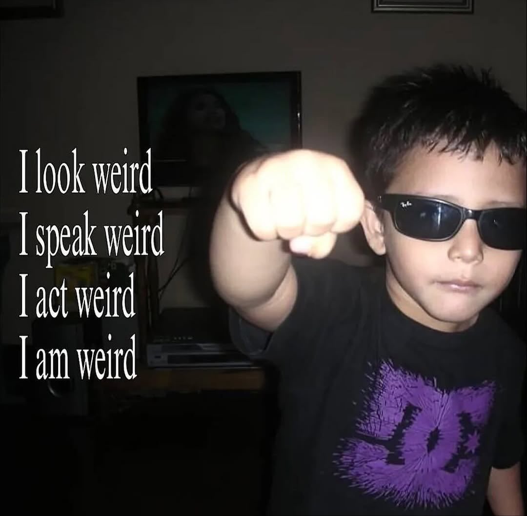 dailyjames tweet media