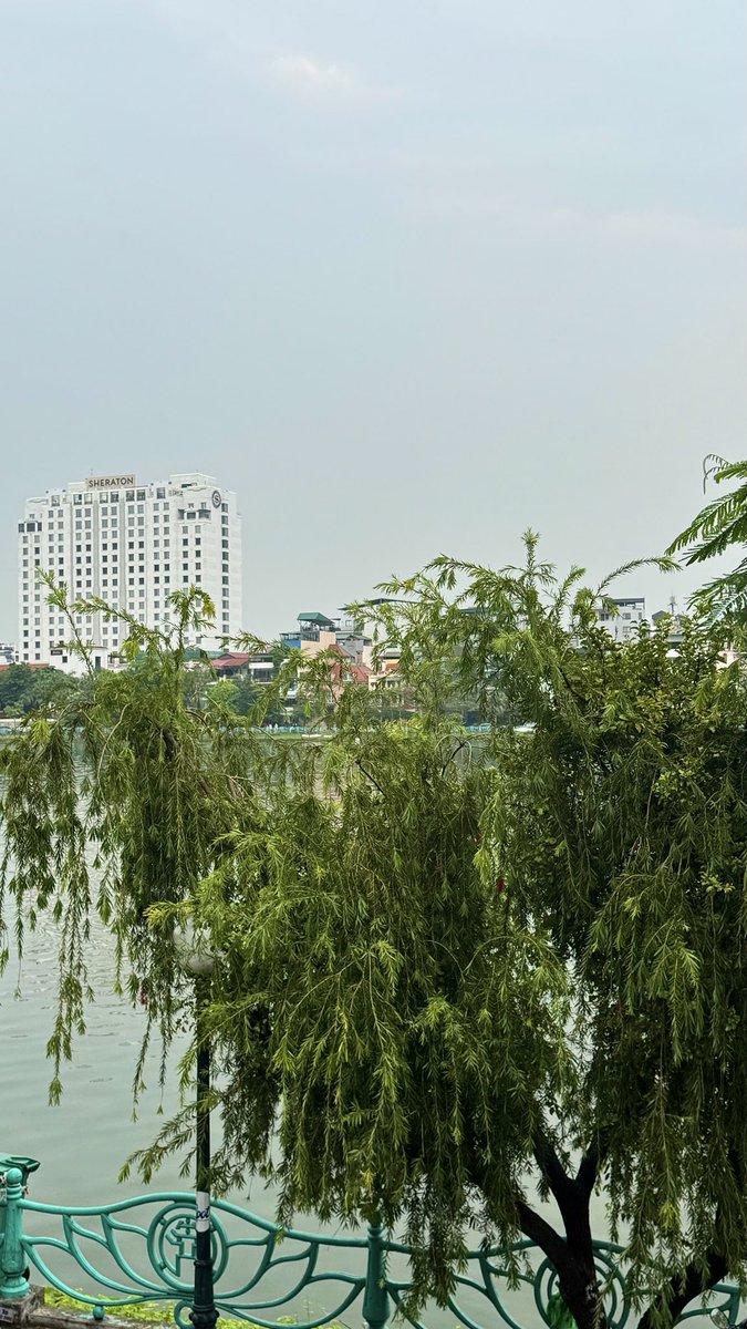 An Nguyen | Anna tweet media