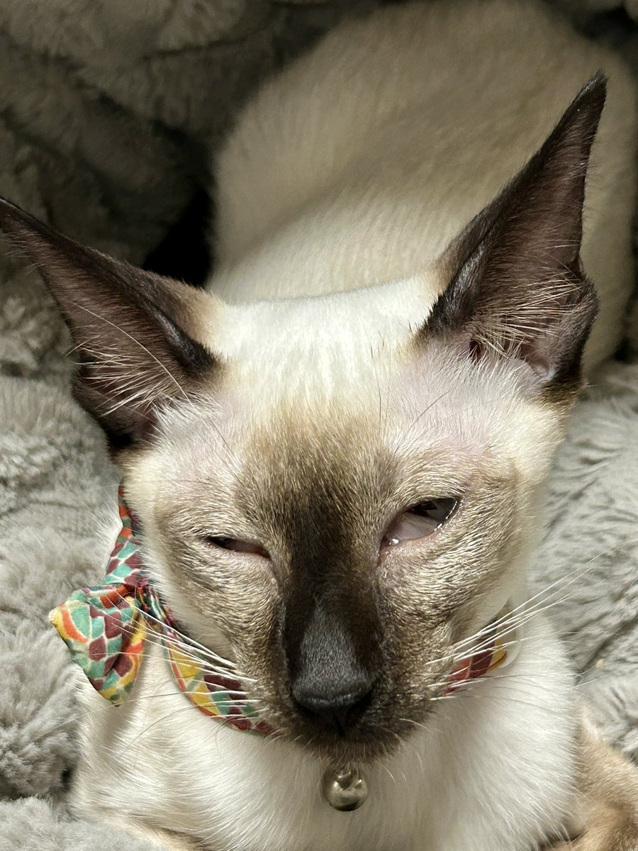 よく似た兄妹だよ