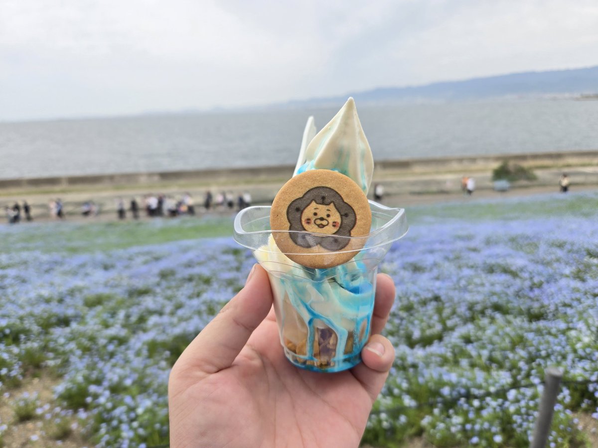 tk_042's tweet photo. 今年は開催ネモフィラ祭り😁(去年は万博の影響で中止に(笑))

ブルーパフェ🍦😋
七分咲き位でした🌼
#ソフトクリーム友の会
#ネモフィラ祭り
#ネモにゃん
#大阪まいしまシーサイドパーク https://t.co/k8DBhKINpO