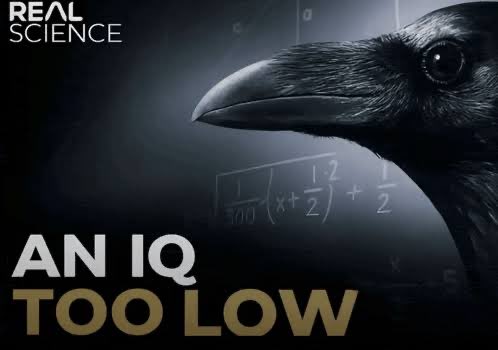 FireRush45 tweet media