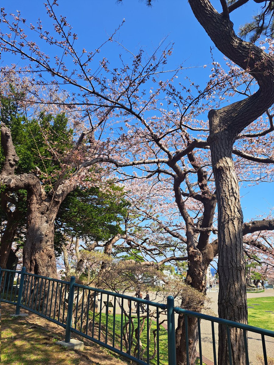 たがし tweet media