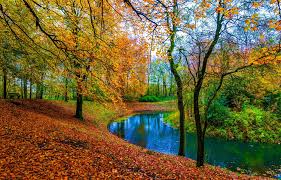 BermanWill75298's tweet image. Love the #gentleness of autumn #colours that lift the Heart and soul to a calm and pleasant place 💛💚🧡 ... William 💞