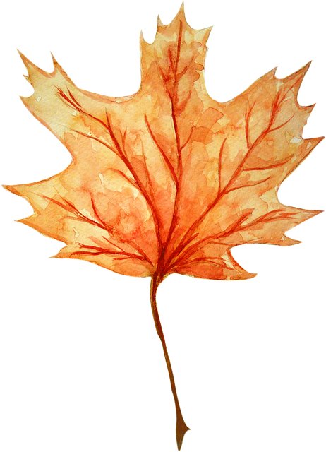 Casey Swanson tweet media